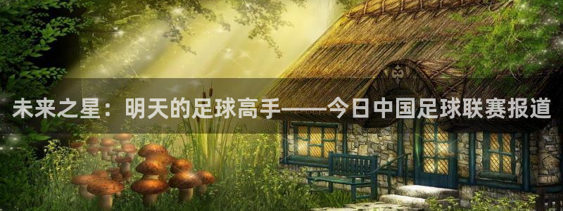 未来之星：明天的足球高手——今日中国足球联赛报道