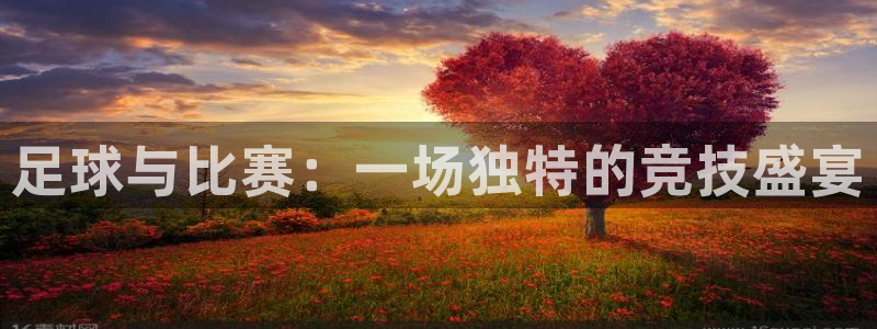 足球与比赛：一场独特的竞技盛宴