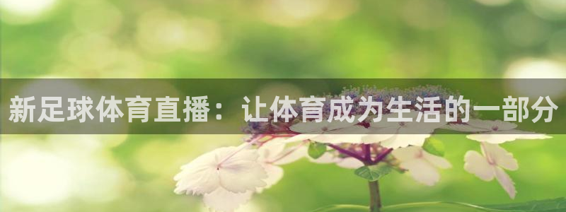 新足球体育直播：让体育成为生活的一部分