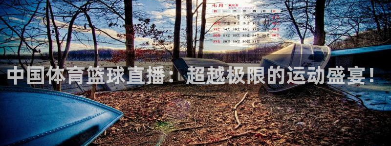 中国体育篮球直播：超越极限的运动盛宴！