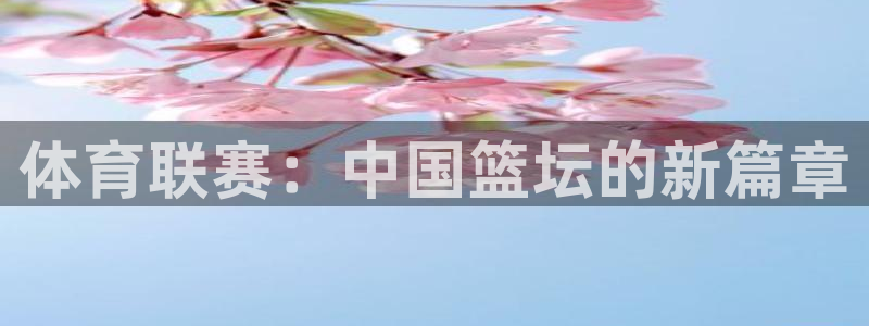 体育联赛：中国篮坛的新篇章