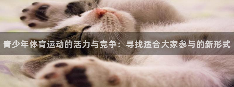 青少年体育运动的活力与竞争：寻找适合大家参与的新形式