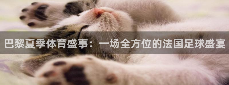 巴黎夏季体育盛事：一场全方位的法国足球盛宴