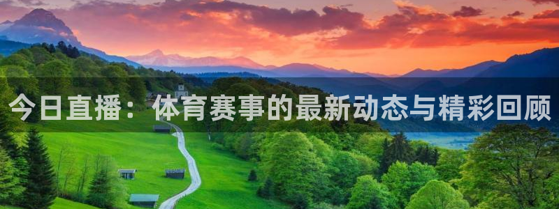 今日直播：体育赛事的最新动态与精彩回顾