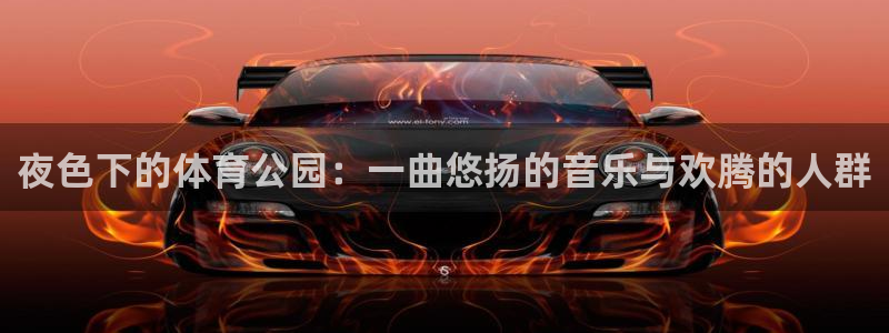 夜色下的体育公园：一曲悠扬的音乐与欢腾的人群