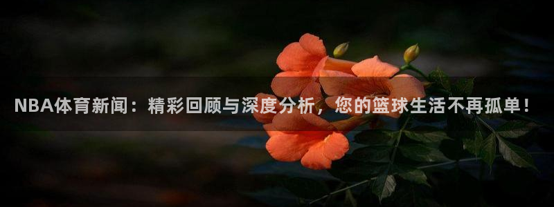 NBA体育新闻：精彩回顾与深度分析，您的篮球生活不再孤单！