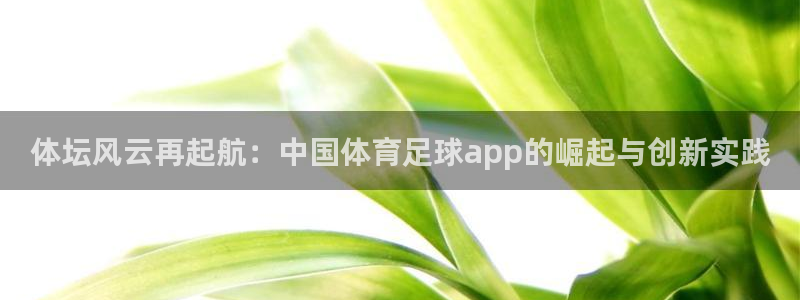 体坛风云再起航：中国体育足球app的崛起与创新实践