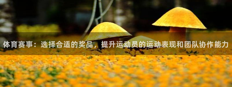 体育赛事：选择合适的奖品，提升运动员的运动表现和团队协作能力