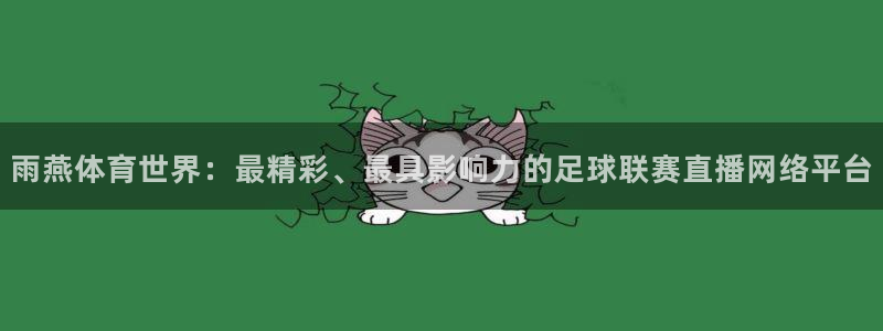 雨燕体育世界：最精彩、最具影响力的足球联赛直播网络平台