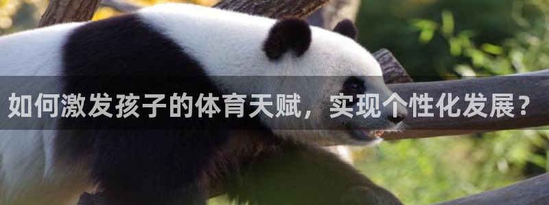 如何激发孩子的体育天赋，实现个性化发展？