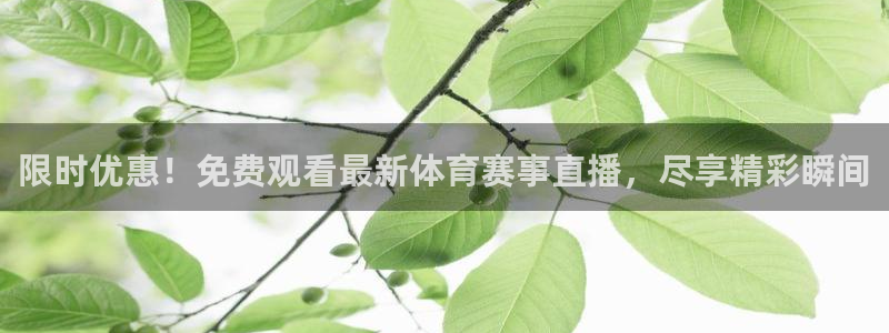 限时优惠！免费观看最新体育赛事直播，尽享精彩瞬间