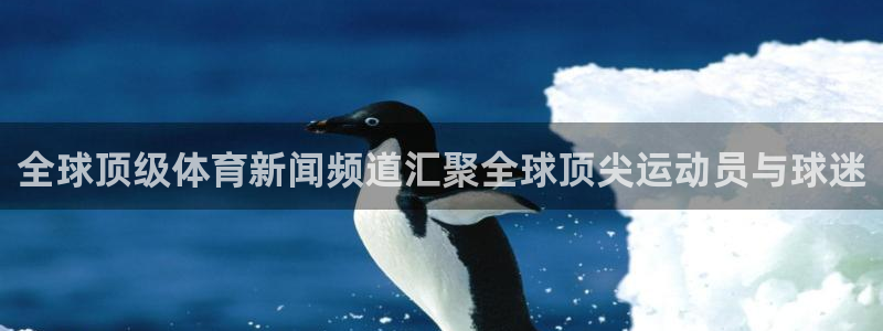 全球顶级体育新闻频道汇聚全球顶尖运动员与球迷