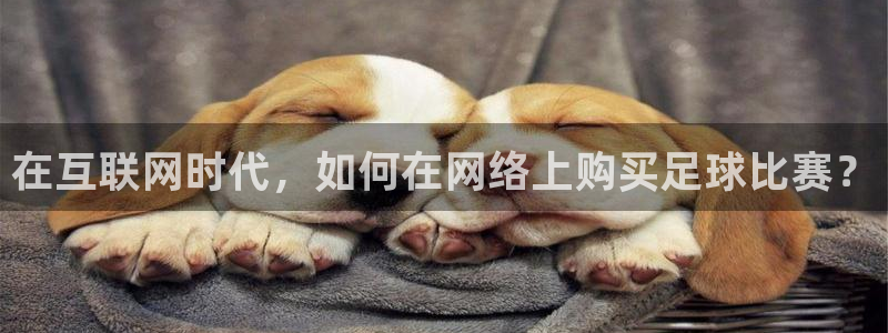 在互联网时代，如何在网络上购买足球比赛？