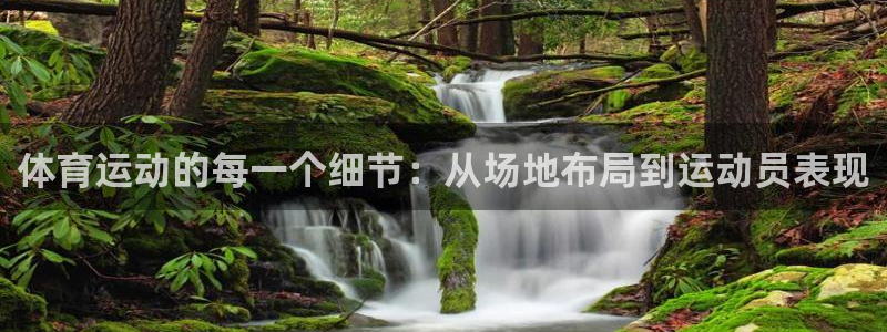 体育运动的每一个细节：从场地布局到运动员表现