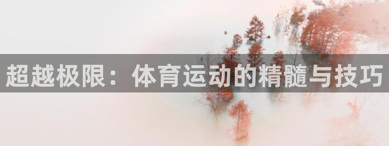 超越极限：体育运动的精髓与技巧