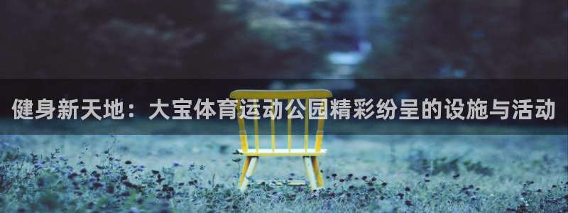 健身新天地：大宝体育运动公园精彩纷呈的设施与活动