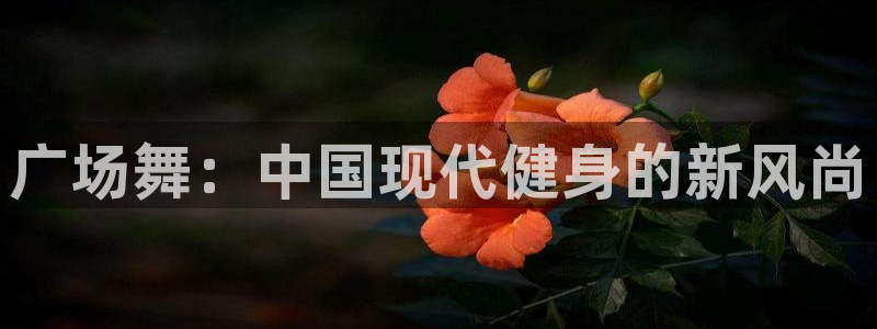 广场舞：中国现代健身的新风尚