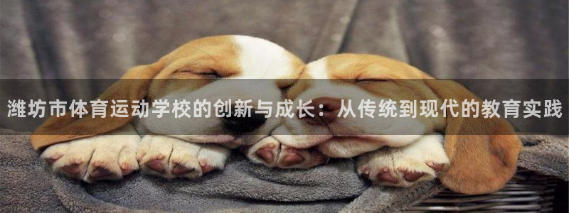 潍坊市体育运动学校的创新与成长：从传统到现代的教育实践