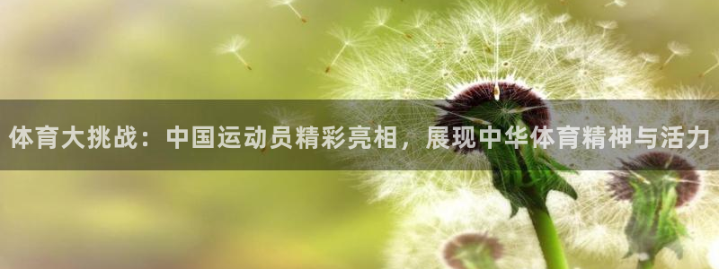 体育大挑战：中国运动员精彩亮相，展现中华体育精神与活力