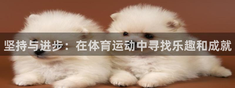 坚持与进步：在体育运动中寻找乐趣和成就
