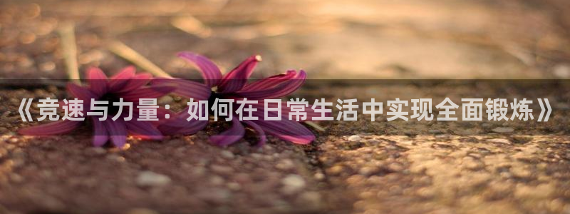 《竞速与力量：如何在日常生活中实现全面锻炼》