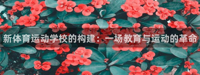 新体育运动学校的构建：一场教育与运动的革命