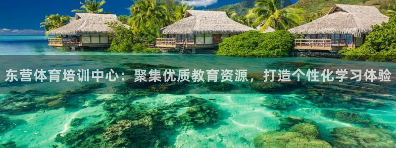 东营体育培训中心：聚集优质教育资源，打造个性化学习体验
