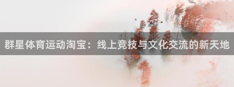群星体育运动淘宝：线上竞技与文化交流的新天地