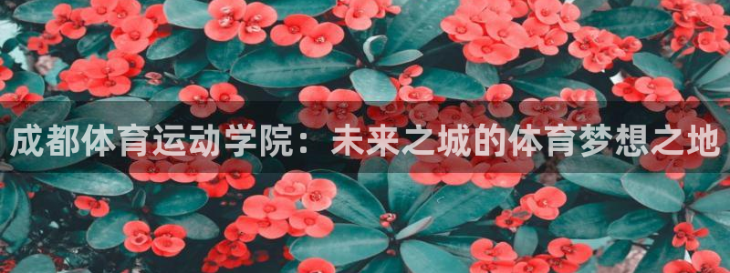 成都体育运动学院：未来之城的体育梦想之地