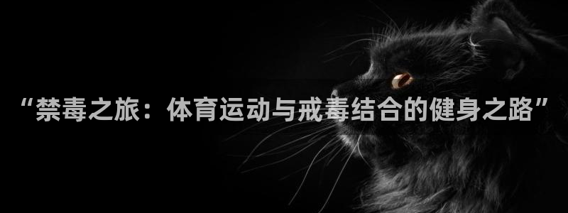 “禁毒之旅：体育运动与戒毒结合的健身之路”