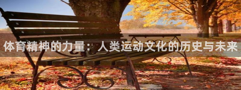 体育精神的力量：人类运动文化的历史与未来