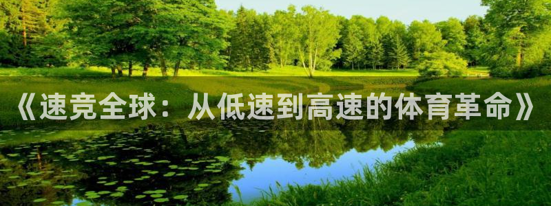 《速竞全球：从低速到高速的体育革命》
