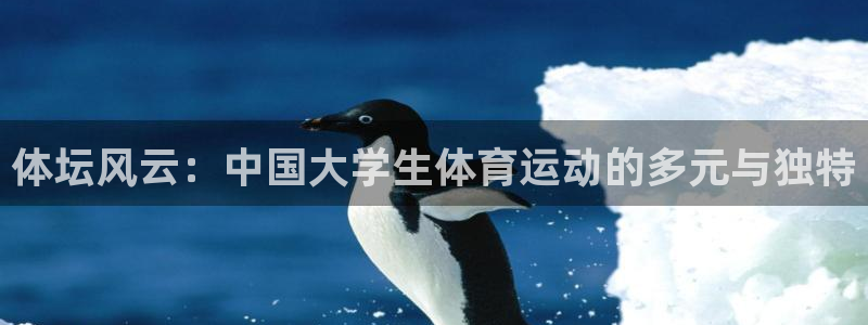 体坛风云：中国大学生体育运动的多元与独特