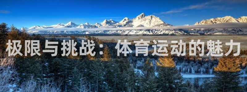 极限与挑战：体育运动的魅力