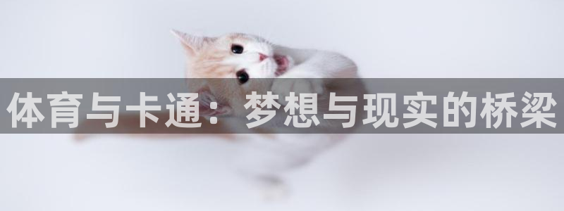 体育与卡通：梦想与现实的桥梁