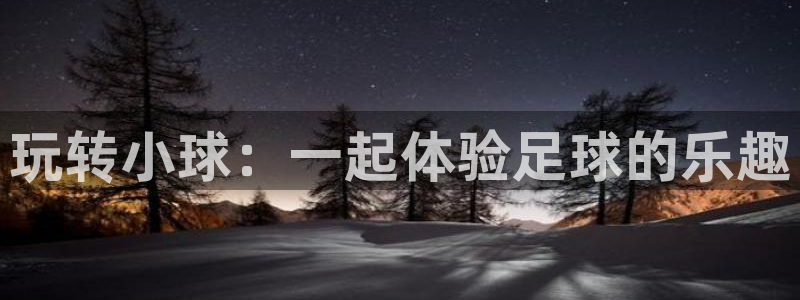 玩转小球：一起体验足球的乐趣