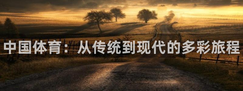 中国体育：从传统到现代的多彩旅程