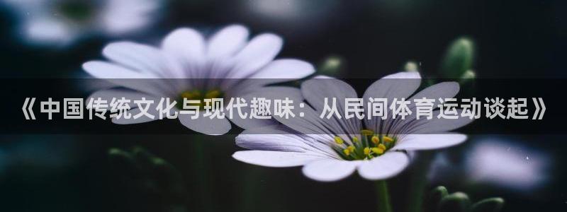 《中国传统文化与现代趣味：从民间体育运动谈起》
