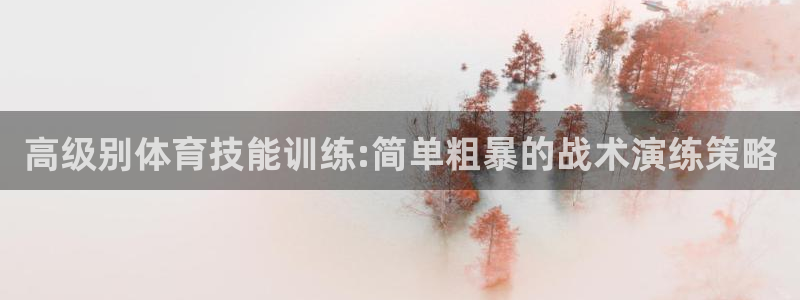 高级别体育技能训练:简单粗暴的战术演练策略