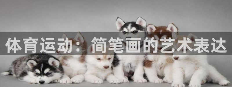 体育运动：简笔画的艺术表达