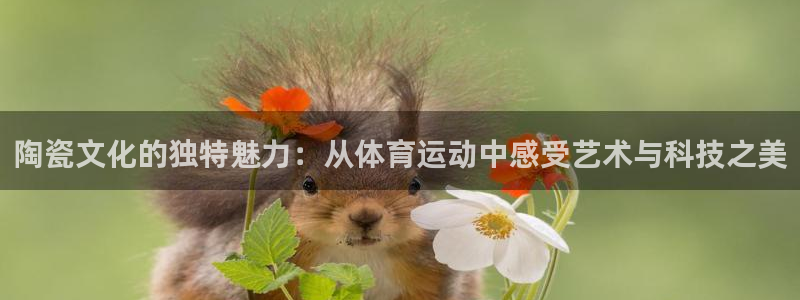 陶瓷文化的独特魅力：从体育运动中感受艺术与科技之美