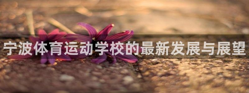 宁波体育运动学校的最新发展与展望