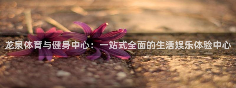 龙泉体育与健身中心：一站式全面的生活娱乐体验中心