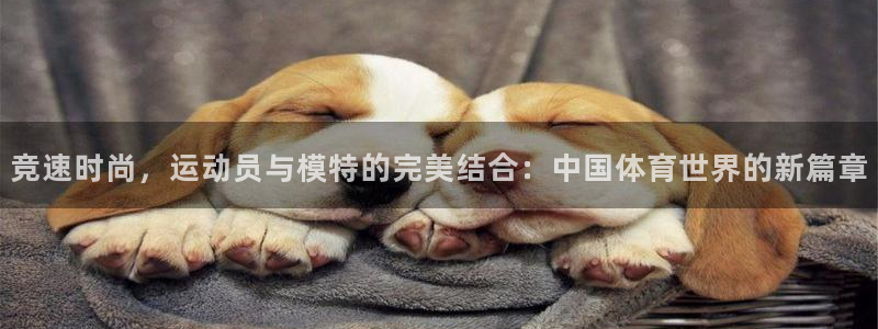 竞速时尚，运动员与模特的完美结合：中国体育世界的新篇章